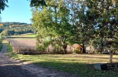 Terreno à venda na estrada 40, 1, vale dos vinhedos (distrito), bento gonçalves por r$ 1.325.000