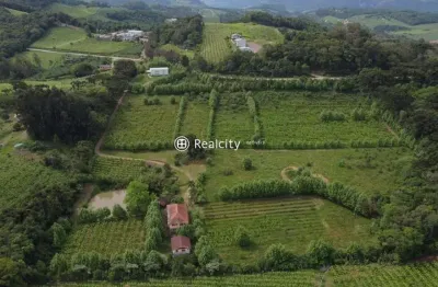 Terreno à venda na estrada do sabor, 12, vale dos vinhedos (distrito), bento gonçalves por r$ 3.200.000