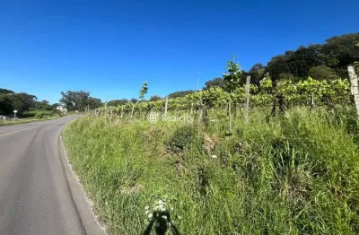 Terreno à venda na carlos dreher neto, 1, salgado, bento gonçalves por r$ 2.000.000