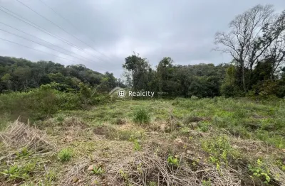 Terreno à venda na rua plauto de abreu, 3, santo antão, bento gonçalves por r$ 250.000