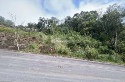Terreno à venda na rua clemente dal mas, 27, santo antão, bento gonçalves por r$ 210.000
