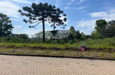 Terreno à venda na paulina, 7, faria lemos (distrito), bento gonçalves por r$ 260.000