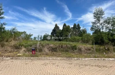 Terreno à venda na paulina, 7, faria lemos (distrito), bento gonçalves por r$ 250.000