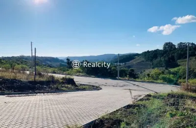 Terreno à venda na paulina, 7, faria lemos (distrito), bento gonçalves por r$ 230.000