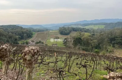 Terreno à venda na estrada do sabor, 1, vale dos vinhedos (distrito), bento gonçalves por r$ 1.349.000