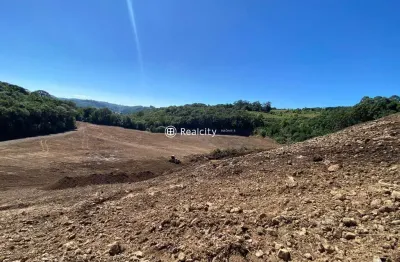 Terreno comercial à venda na rs-453, km 18 - linha rio burati, 3, nova sardenha (distrito), farroupilha por r$ 999.000
