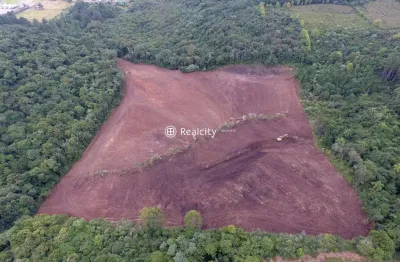 Terreno comercial à venda na rs-453, km 18 - linha rio burati, 2, nova sardenha (distrito), farroupilha por r$ 2.499.000