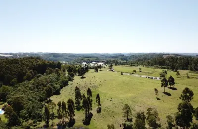 Terreno à venda na linha paese, 1, zona rural, farroupilha por r$ 600.000
