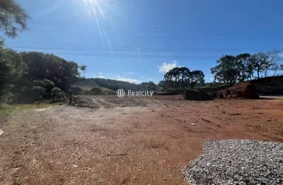 Terreno comercial à venda na rs-453, km 18 - linha rio burati, 1, nova sardenha (distrito), farroupilha por r$ 2.835.000