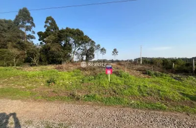 Terreno à venda na rs-453, km 18 - linha rio burati, 6, nova sardenha (distrito), farroupilha por r$ 171.000