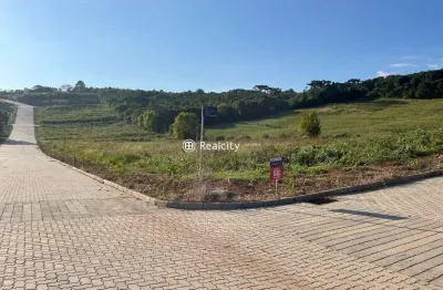 Terreno à venda na das videiras, 27, garibaldina, garibaldi por r$ 455.000