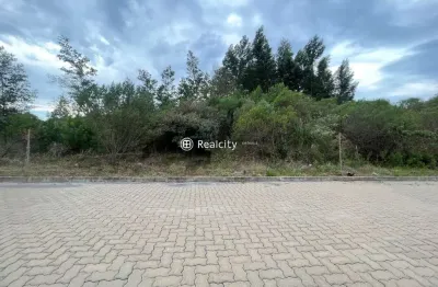 Terreno à venda na linha são roque figueira de melo, 86, alfândega, garibaldi por r$ 212.000