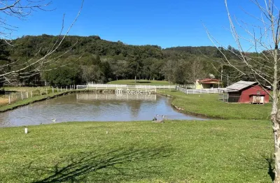 Terreno à venda na km 9, 3, são pedro, bento gonçalves por r$ 1.600.000