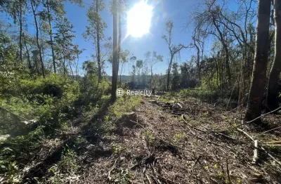 Terreno à venda na barracão, 1, barracão, bento gonçalves por r$ 2.700.000