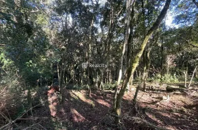 Terreno em condomínio fechado à venda na da uva e do vinho, 1, vale dos vinhedos (distrito), bento gonçalves por r$ 585.000