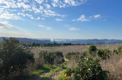 Terreno à venda na linha leopoldina, 7, vale dos vinhedos (distrito), bento gonçalves por r$ 4.800.000