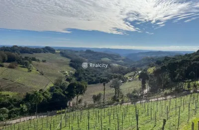Terreno à venda na linha armênio, 338, centro, monte belo do sul por r$ 5.000.000