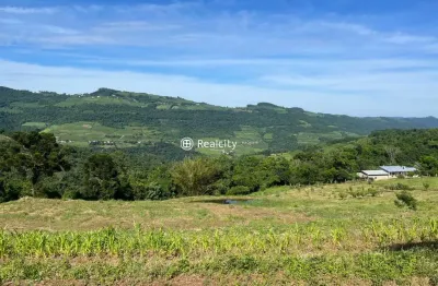 Terreno à venda na km 300, 2, faria lemos (distrito), bento gonçalves por r$ 499.000