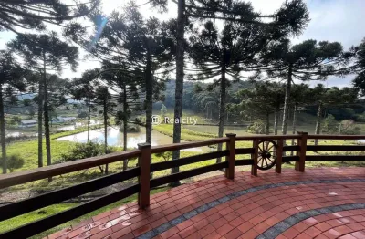 Terreno à venda na linha paese, 1, zona rural, farroupilha por r$ 2.300.000