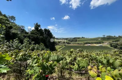 Terreno à venda na rs 444, 1, vale dos vinhedos (distrito), bento gonçalves por r$ 990.741