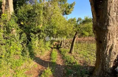Terreno à venda na linha santa lucia, 5, vale dos vinhedos (distrito), bento gonçalves por r$ 550.000