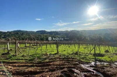 Terreno à venda na linha santa lucia, 3, vale dos vinhedos (distrito), bento gonçalves por r$ 550.000