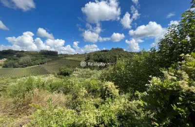 Terreno em condomínio fechado à venda na estrada geral, 1, vale dos vinhedos (distrito), bento gonçalves por r$ 997.000