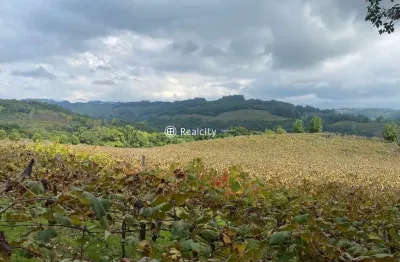 Terreno à venda na linha armenio, 8, zona rural, monte belo do sul por r$ 5.500.000