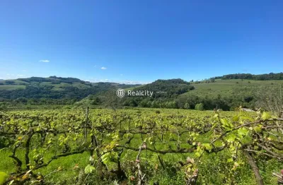 Terreno à venda na linha armenio, 5, zona rural, monte belo do sul por r$ 1.800.000