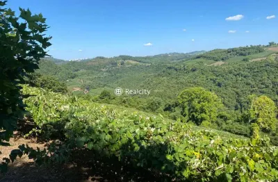 Terreno à venda na linha santo isidoro, 23, vale dos vinhedos (distrito), bento gonçalves por r$ 920.000