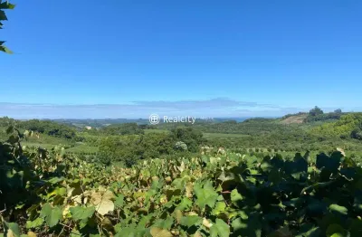 Terreno à venda na linha 15 da graciema, 2000, vale dos vinhedos (distrito), bento gonçalves por r$ 3.598.000