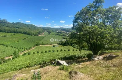 Terreno à venda na linha leopoldina, 1, vale dos vinhedos (distrito), bento gonçalves por r$ 2.600.000