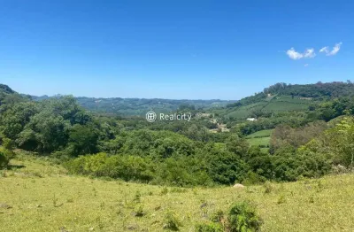 Terreno à venda na linha santo alexandre, 1, zona rural, garibaldi por r$ 5.999.000