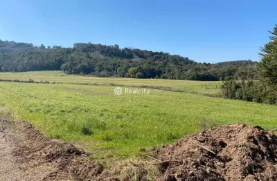 Terreno à venda na estrada 40, 2, vale dos vinhedos (distrito), bento gonçalves por r$ 3.950.000