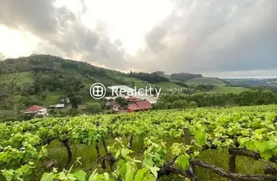 Terreno à venda na rs 444, 23, vinosul, bento gonçalves por r$ 22.000.000