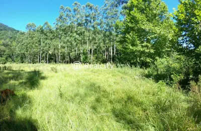 Terreno à venda na linha, 1, zona rural, santa tereza por r$ 805.000