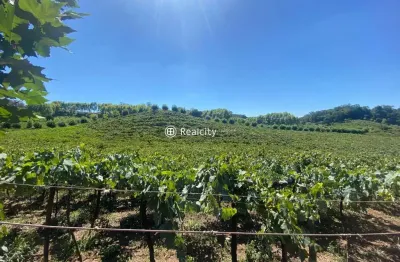 Terreno à venda na 444, 13, vale dos vinhedos (distrito), bento gonçalves por r$ 12.000.000