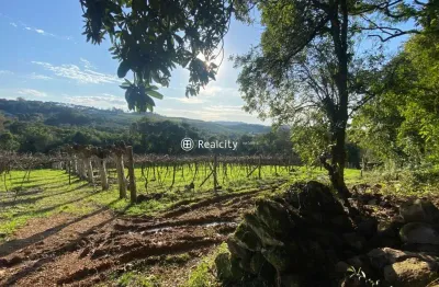 Terreno em condomínio fechado à venda na linha santa lucia, 56, vale dos vinhedos (distrito), bento gonçalves por r$ 2.900.000