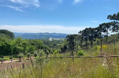 Terreno em condomínio fechado à venda na linha leopoldina, 1, vale dos vinhedos (distrito), bento gonçalves por r$ 6.599.000