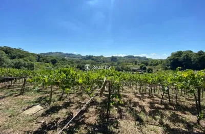 Terreno à venda na tentro, s/n, 2, vale dos vinhedos (distrito), bento gonçalves por r$ 4.300.000