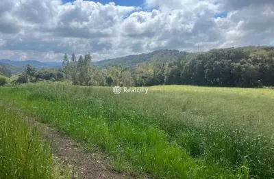Terreno à venda na rs-453, km 18 - linha rio burati, 12, nova sardenha (distrito), farroupilha por r$ 680.000
