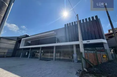 Loja para alugar, 581 m² por r$ 24.900,00/mês - figueira - gaspar/sc