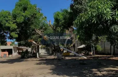 Chácara / sítio à venda no Cambolo, Porto Seguro 