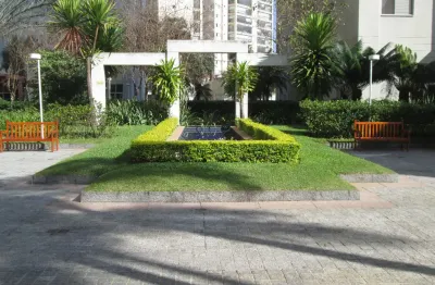 Lindíssimo apartamento tatuapé - rua tuiuti - parque piqueri