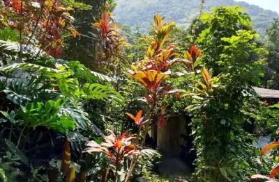 Casa com 6 quartos à venda na Rua Cleodon Furtado, 626, Vargem Grande, Rio de Janeiro