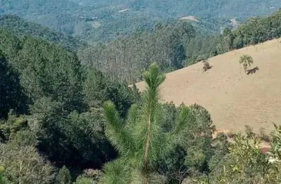 Sítio / chácara para venda em águas mornas, rio novo