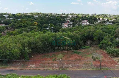 Terreno à venda, 6895 m² por r$ 1.200.000,00 - centro - foz do iguaçu/pr