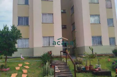 Apartamento com 2 dormitórios à venda, 53 m² - brasmadeira - cascavel/pr
