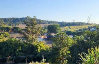 Sítio com 3 dormitórios à venda, 21200 m² por r$ 2.000.000,00 - cestarolli - louveira/sp