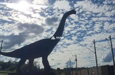 Terreno à venda no Peirópolis, Uberaba 
